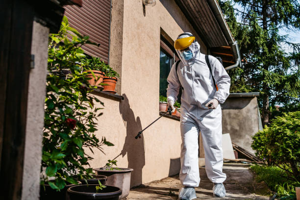 Best Wasp Removal Services  in Greenfield, CA