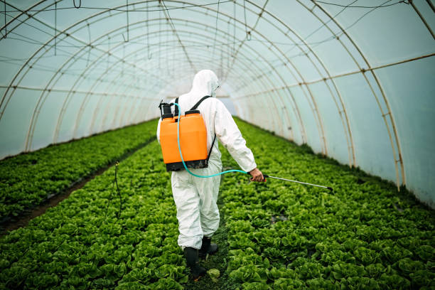 Best Best Pest Control Companies  in Greenfield, CA