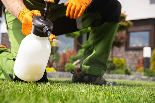 Best Exterminator Services  in Greenfield, CA