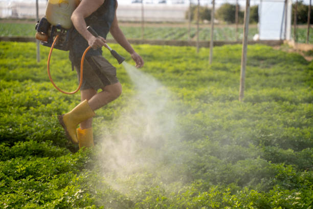 Best Best Pest Control Companies  in Greenfield, CA