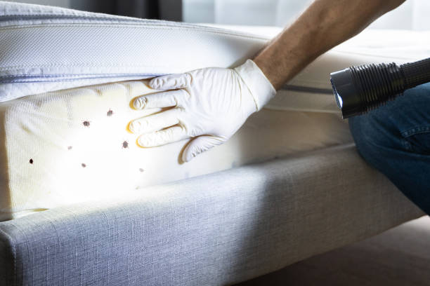 Best Cockroach Control Services  in Greenfield, CA