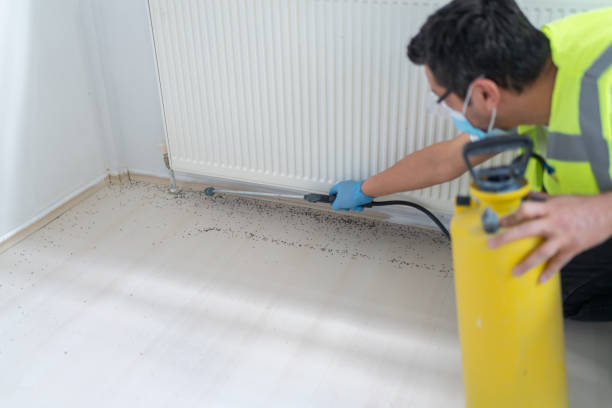 Trusted Greenfield, CA Pest Control Experts