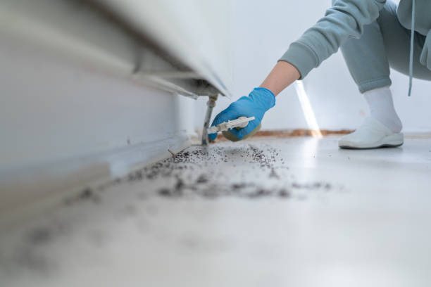 Best Termite Control Services  in Greenfield, CA