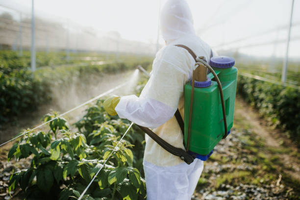 Best Residential Pest Control  in Greenfield, CA